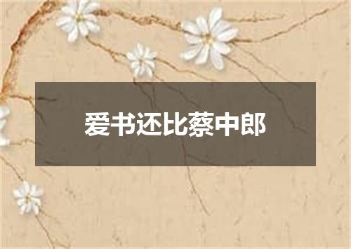 爱书还比蔡中郎
