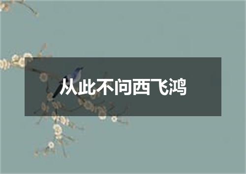 从此不问西飞鸿