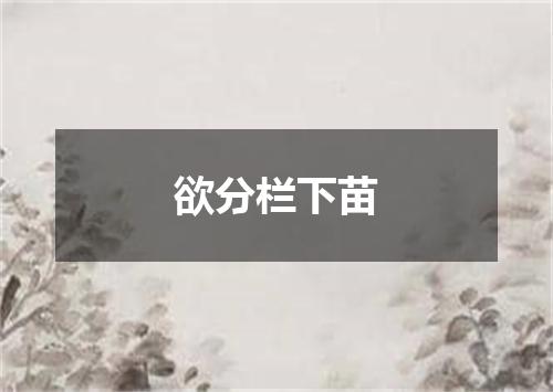 欲分栏下苗