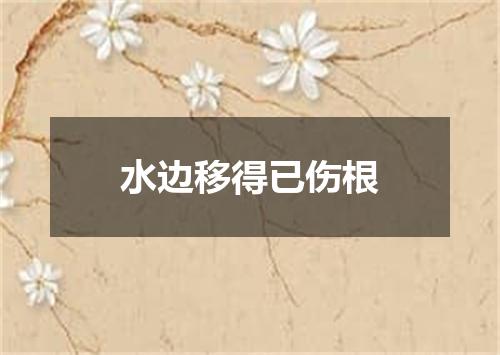 水边移得已伤根