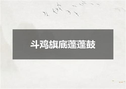 斗鸡旗底蓬蓬鼓