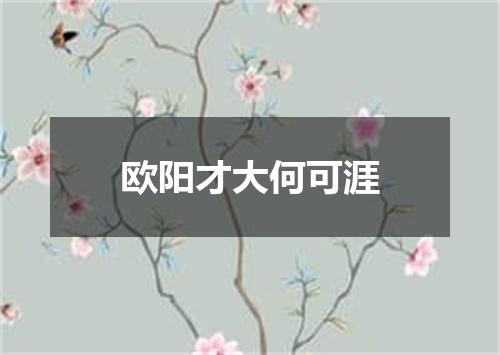 欧阳才大何可涯
