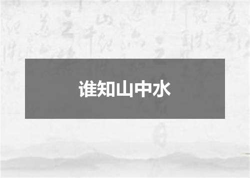 谁知山中水