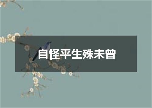 自怪平生殊未曾