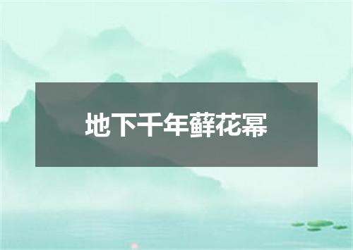 地下千年藓花幂