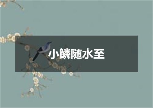 小鳞随水至