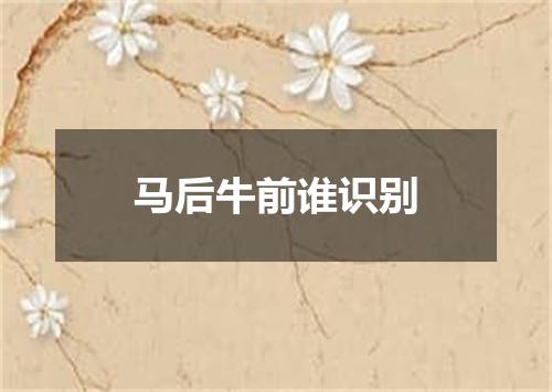 马后牛前谁识别