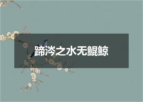 蹄涔之水无鲲鲸