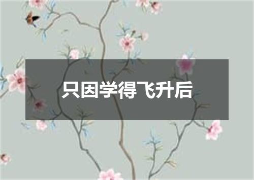 只因学得飞升后