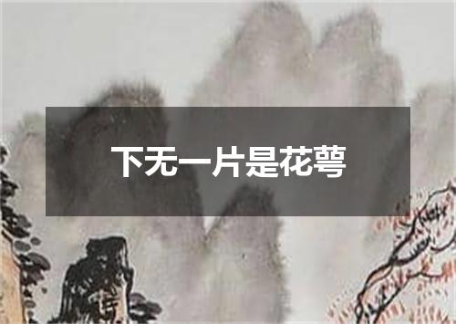 下无一片是花萼