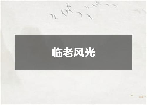 临老风光