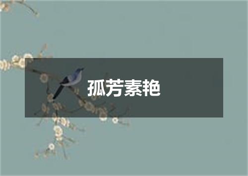 孤芳素艳