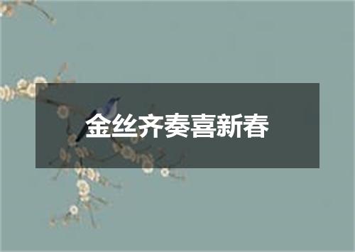 金丝齐奏喜新春