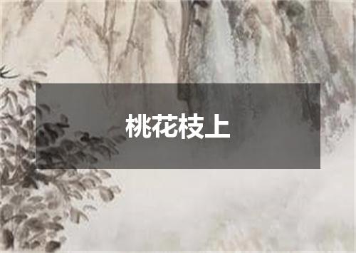 桃花枝上
