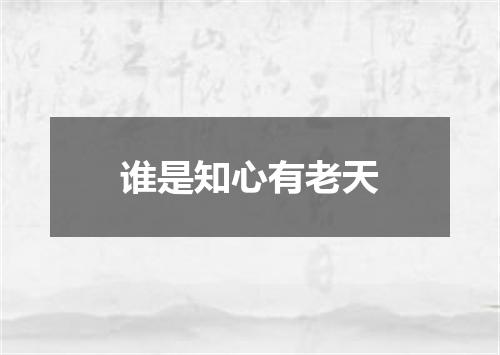 谁是知心有老天