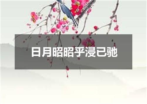日月昭昭乎浸已驰