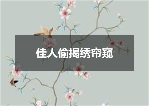 佳人偷揭绣帘窥