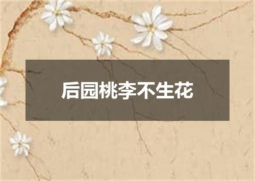 后园桃李不生花