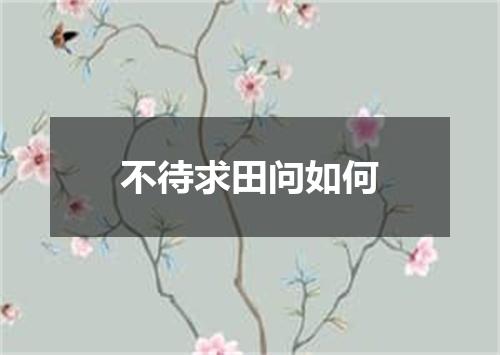 不待求田问如何