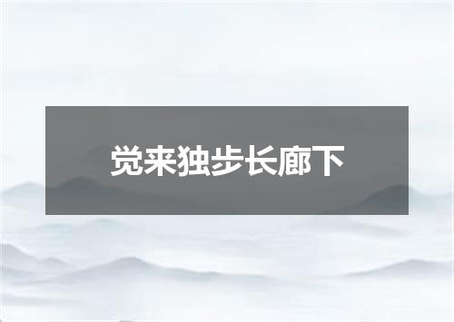 觉来独步长廊下
