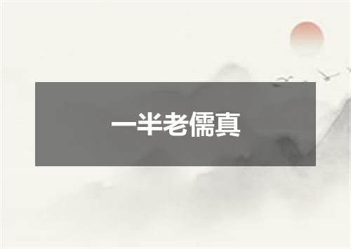 一半老儒真