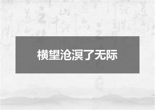 横望沧溟了无际