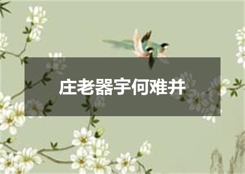 庄老器宇何难并