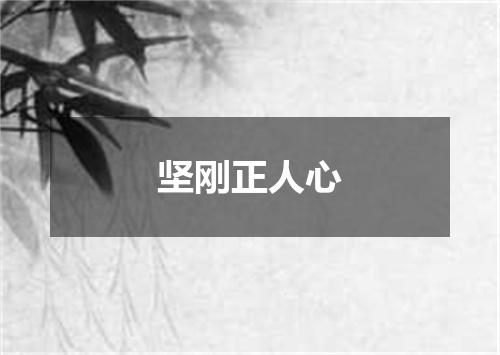 坚刚正人心