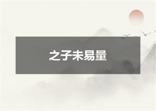 之子未易量