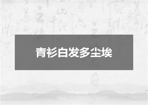 青衫白发多尘埃