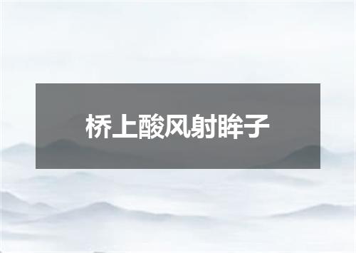 桥上酸风射眸子