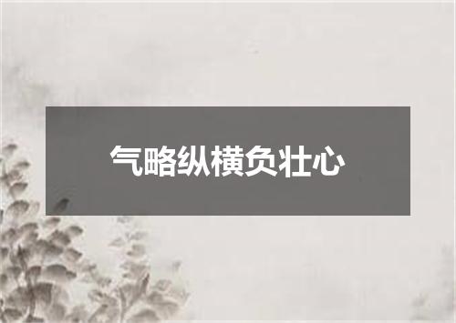 气略纵横负壮心