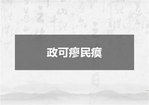 政可瘳民瘼