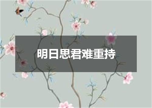 明日思君难重持