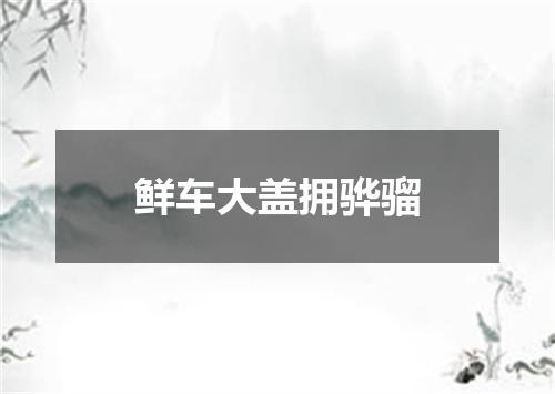 鲜车大盖拥骅骝