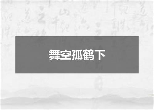 舞空孤鹤下