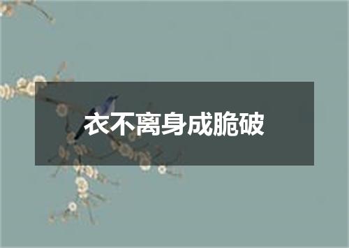衣不离身成脆破