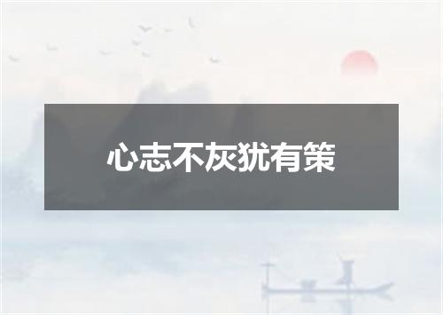 心志不灰犹有策