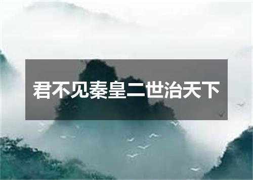 君不见秦皇二世治天下