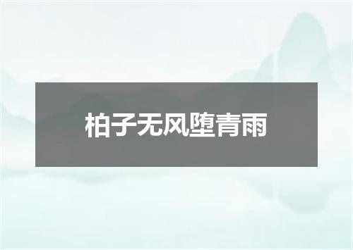柏子无风堕青雨