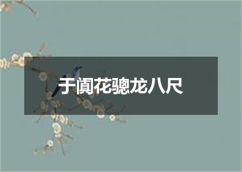 于阗花骢龙八尺