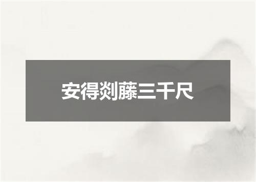 安得剡藤三千尺
