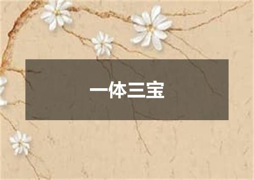 一体三宝