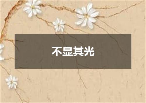 不显其光