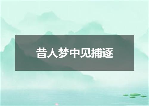 昔人梦中见捕逐