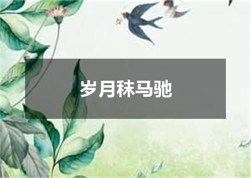 岁月秣马驰