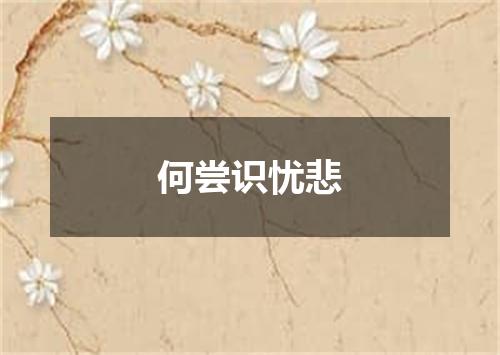 何尝识忧悲