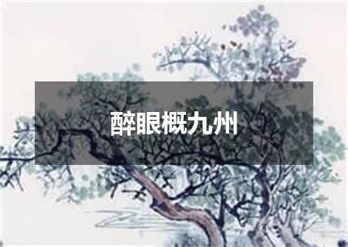 醉眼概九州