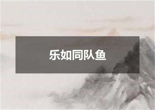 乐如同队鱼