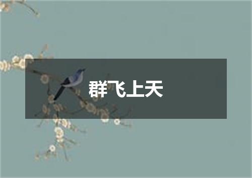 群飞上天